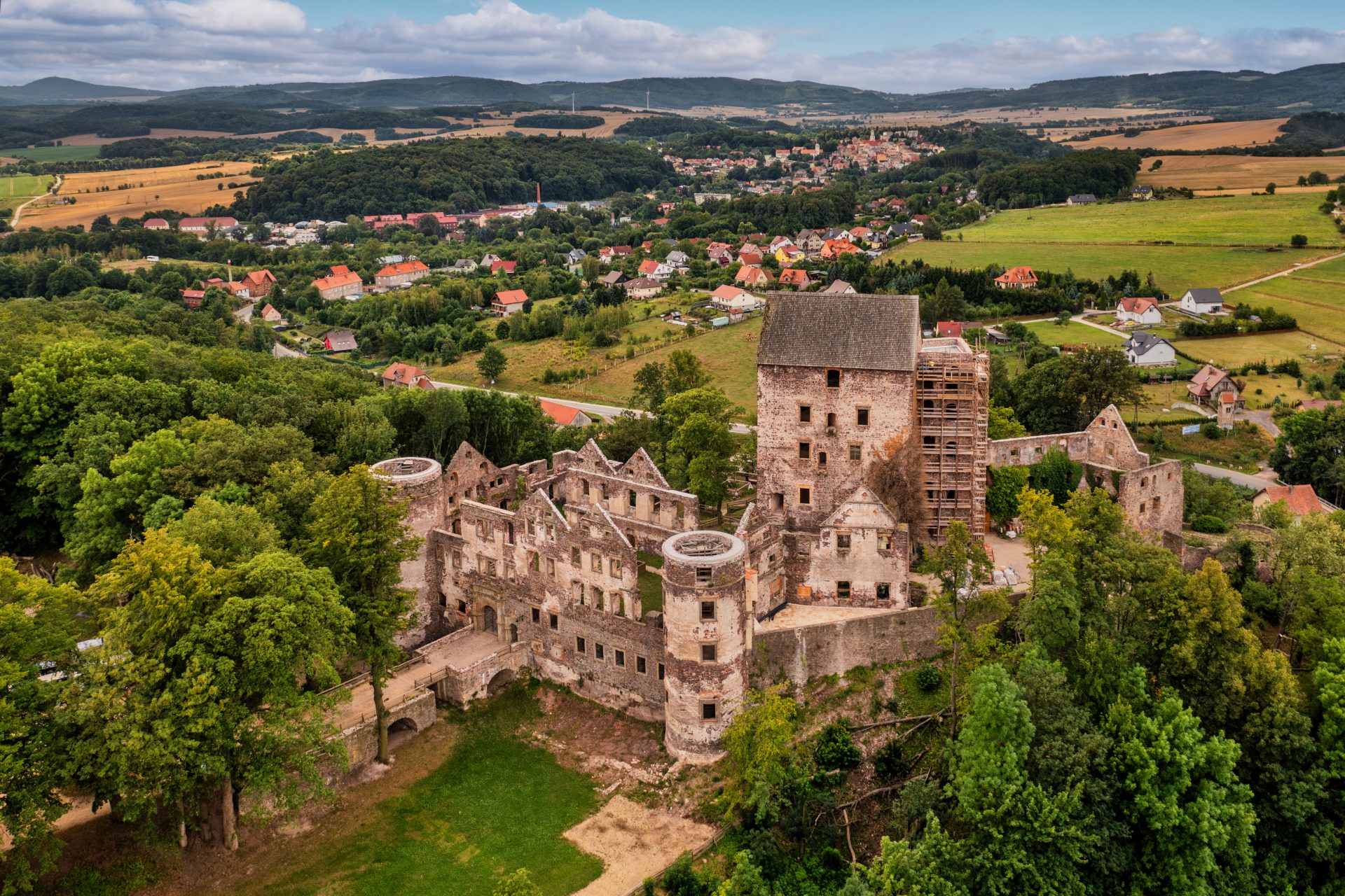 Zamek Świny