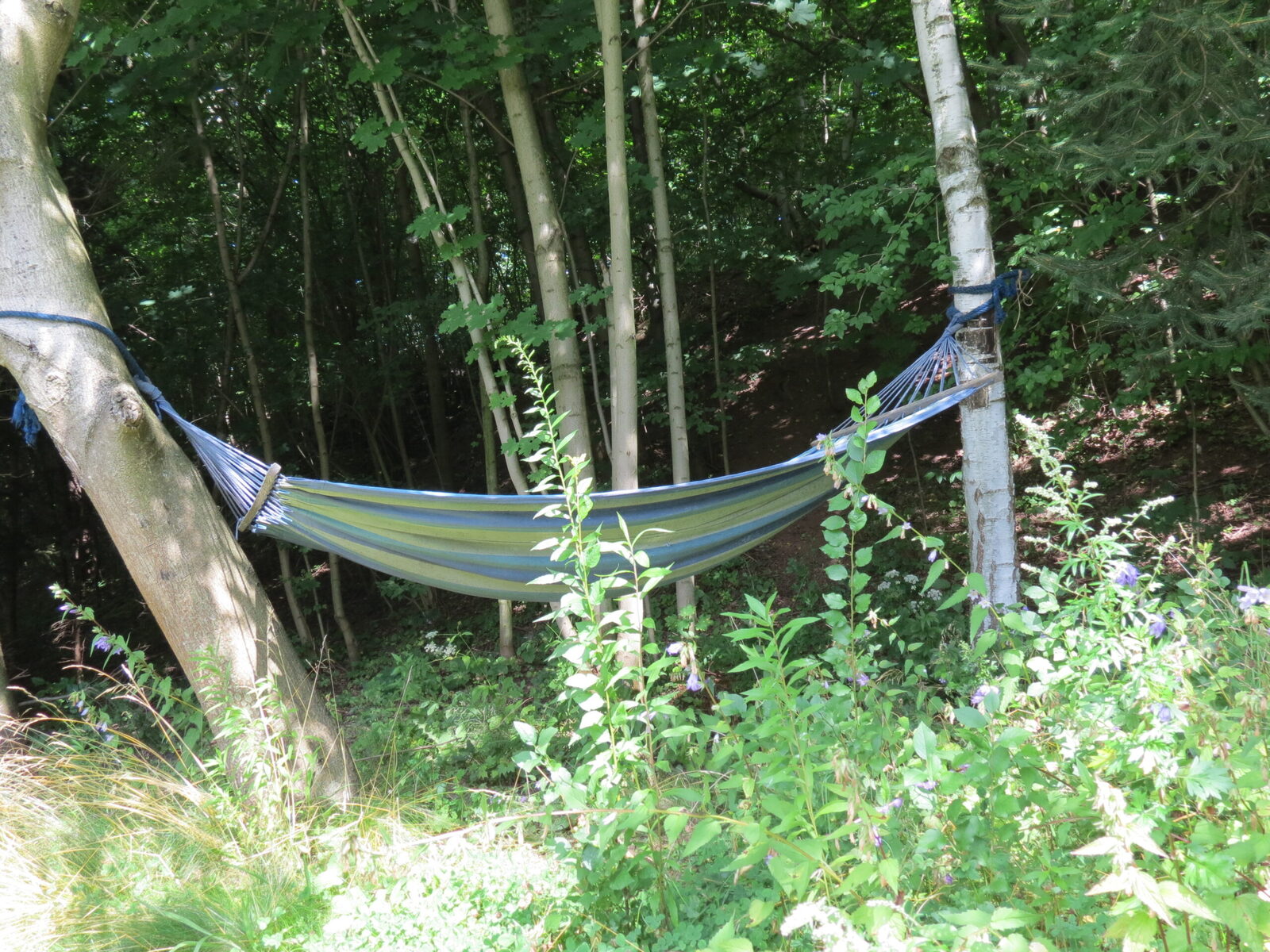 Camping Pod Lasem